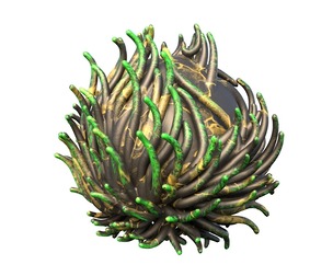 Coral reef 07