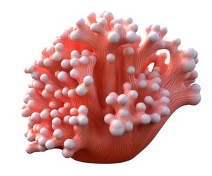 Coral reef 10