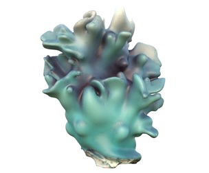Coral reef 15