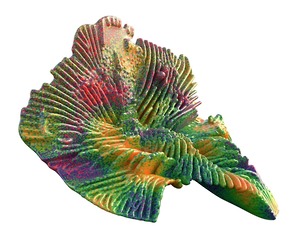 coral reef 16
