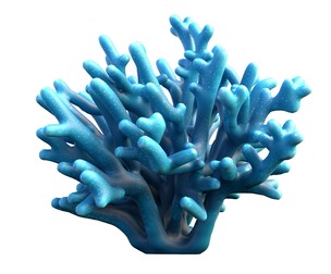 Coral reef 26