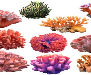 Coral reef collection 1-10