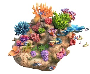 Coral Reef Rock 1