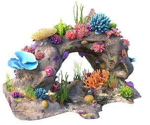 Coral Reef Rock 3