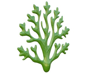 Seaweed 1