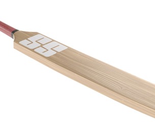 cricket bat