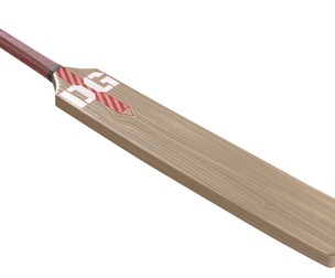 cricket bat 2