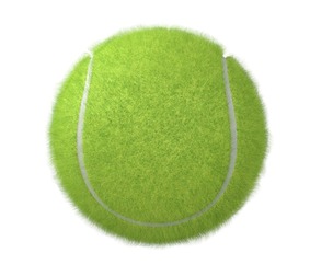 Paddle Tennis Racket and Tennis ball