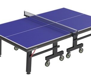 Table Tennis Table 2
