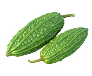 Bitter gourd v2