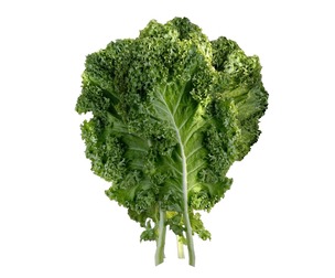 Kale leaf