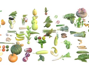 Vegetable 3d model collection
