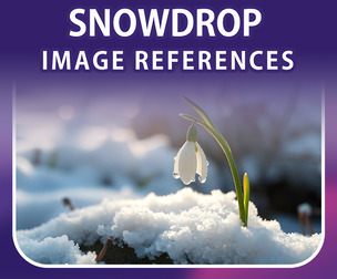 400 Snowdrop Image Reference Pack – Vol 1