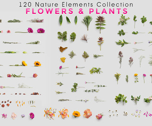 120 Bloom Flowers & Green Plants, Floral Petals, Spring, Summer Bouquet, Foliage, Leaf, Blossom