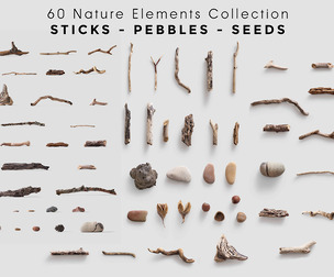 60 Nature Elements Collection – Sticks, Pebbles, Seeds, Twigs, Branches, Wood, Stone, Rocks