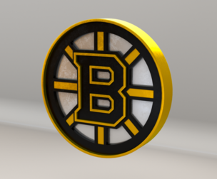 NHL Boston Bruins Team Logo