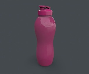 PBR Sports Water Bottle C