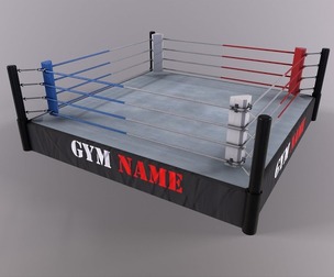PBR Boxing Ring - Type A