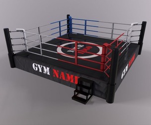 PBR Boxing Ring - Type B