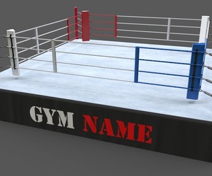 PBR Modular Professional Boxing Rings 18ftx18ft
