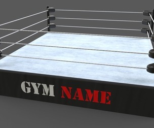 PBR Modular Professional Wrestling Rings 18ftx18ft