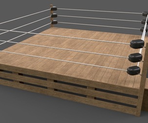 PBR Modular Wood Wrestling Rings 20ftx20ft