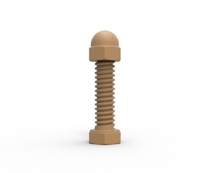 Bolt with Cap nut