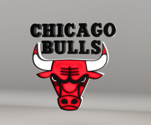 NBA Chicago Bulls Team Logo