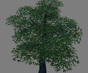 Model Arena - Variation grass flowers trees 03 01
