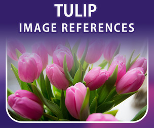 400 Tulip Image Reference Pack – Vol 1