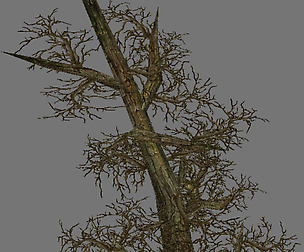 Model Arena - Variation grass flowers trees 08 01