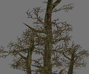 Model Arena - Variation grass flowers trees 09 01
