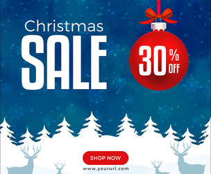 Seasonal Sale Banner, EDITABLE PSD Template, E-Commerce Marketing, Advertising