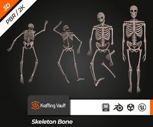 Skeleton Bone