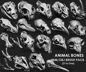 Animal Bones Collection IMM\Stl\Obj Brush Pack 21 in One Vol.1