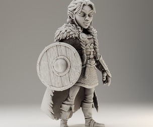 Stylized Viking 20