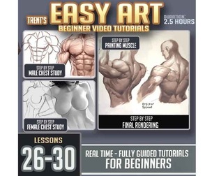 Easy Art Lessons 26-30 Male and Female Torso