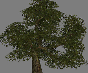 Model Arena game Jungle Area - Tree 01