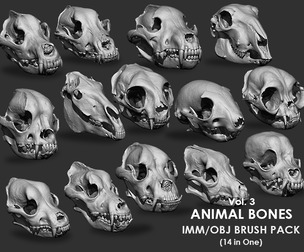 Animal Bones Collection IMM/Stl/Obj Brush Pack 14 in One Vol.3