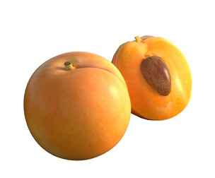 Apricot Fruit