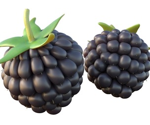 blackberry Fruit