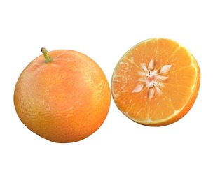 Mandarin Fruit