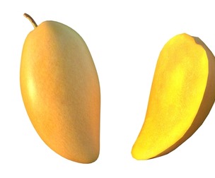 Mango Fruit 3
