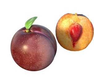 Plum Fruit