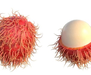 rambutan Fruit