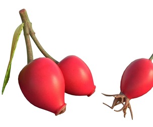 Rose hip Fruit