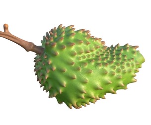 soursop Fruit