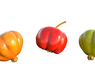 Surinam cherry pitanga Fruit