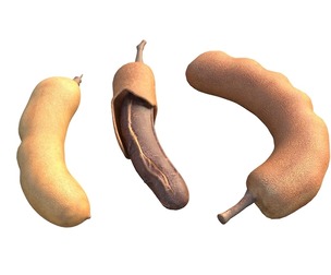 Tamarind Fruit