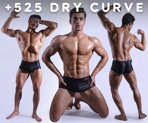 +525 Dry Curve Reference Pictures – Vol 44